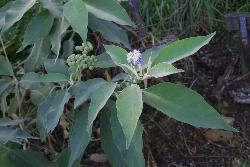 Image: Trevor James © Trevor James 